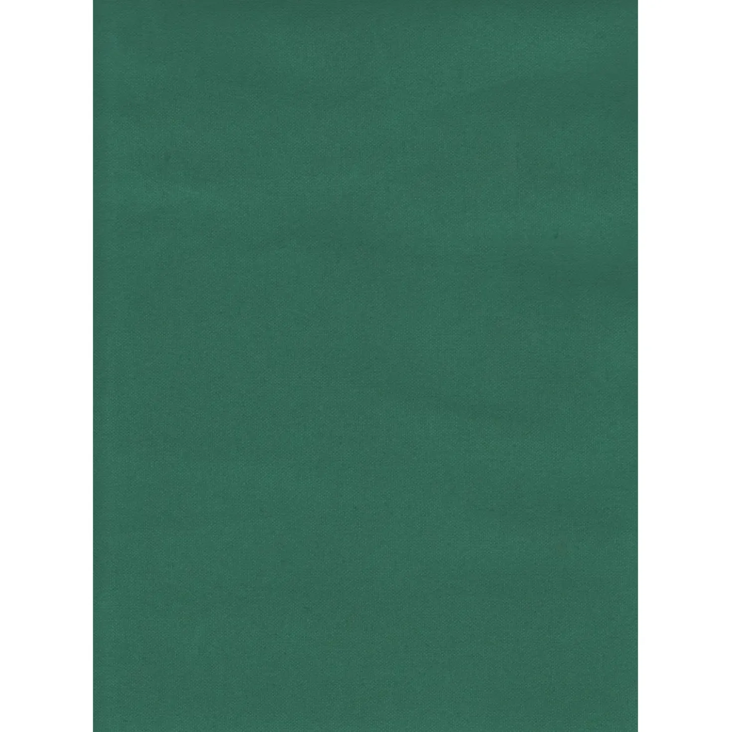 Tenda da sole a caduta verticale con rullo 150x250 cm verde