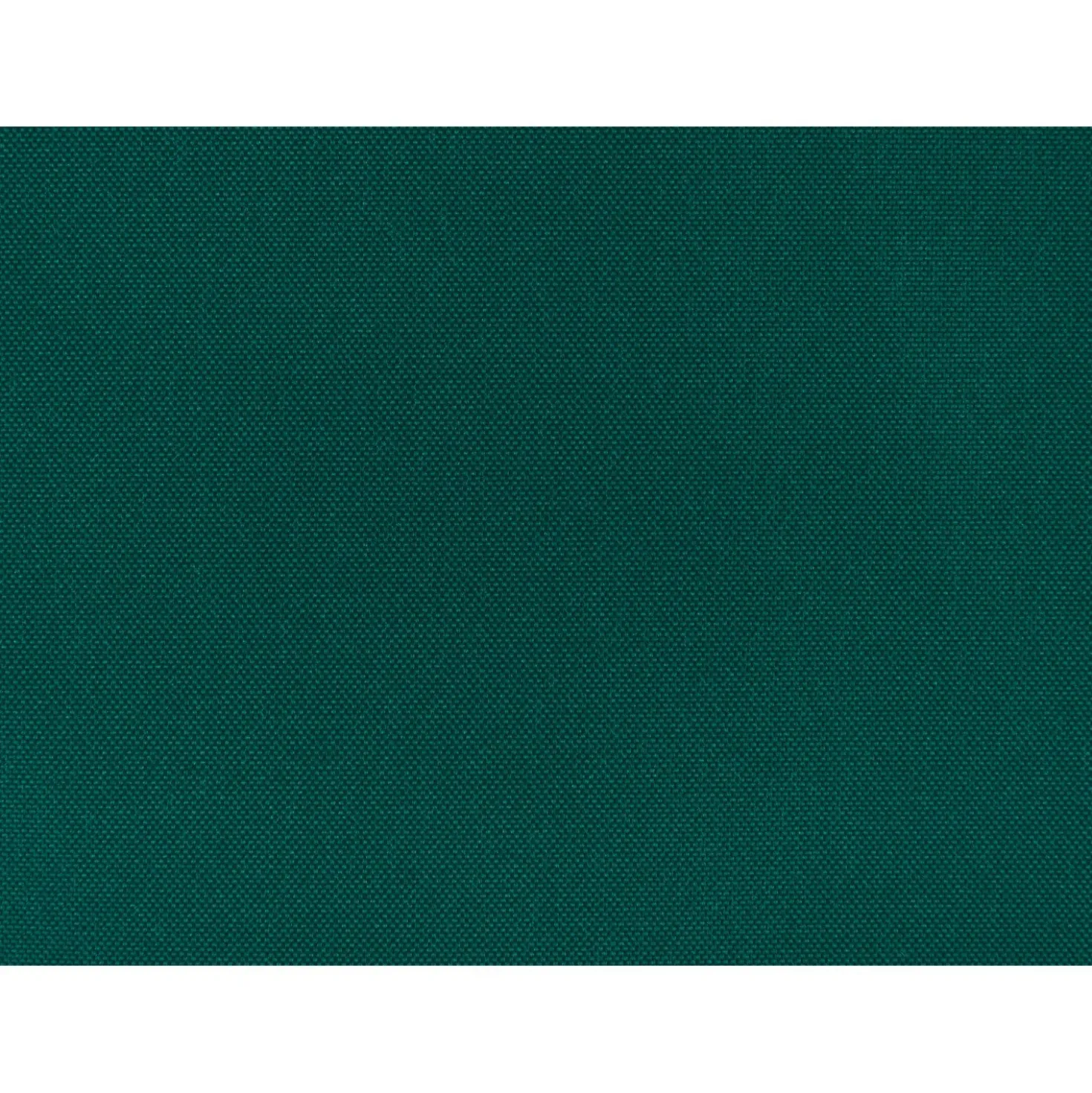 Tenda da sole a caduta verticale con anelli 145x300 cm verde