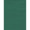 Tenda da sole a caduta verticale con anelli 145x300 cm verde