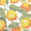Tenda zanzariera 150x170 cm fantasia limoni