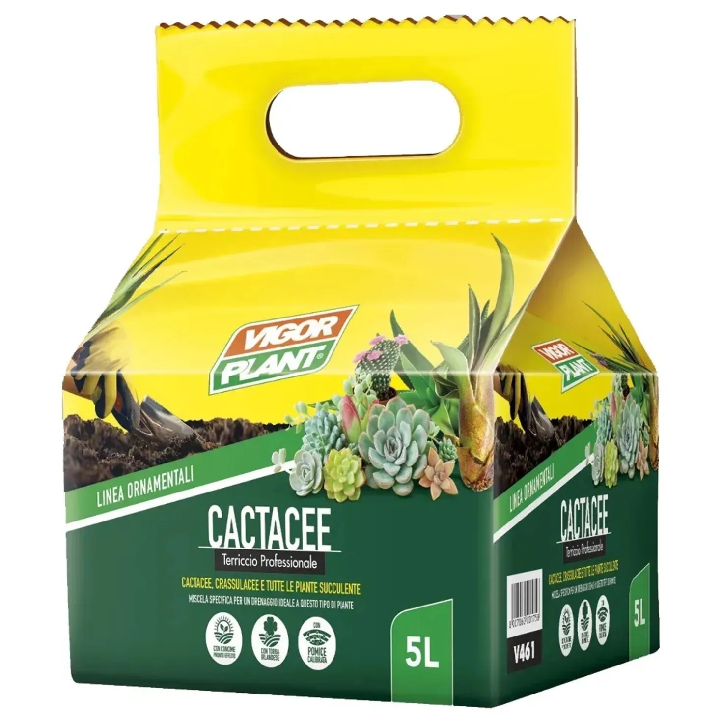 Terriccio professionale Vigorplant per cactacee 5 l
