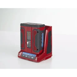 Toro Caricabatteria 40 V