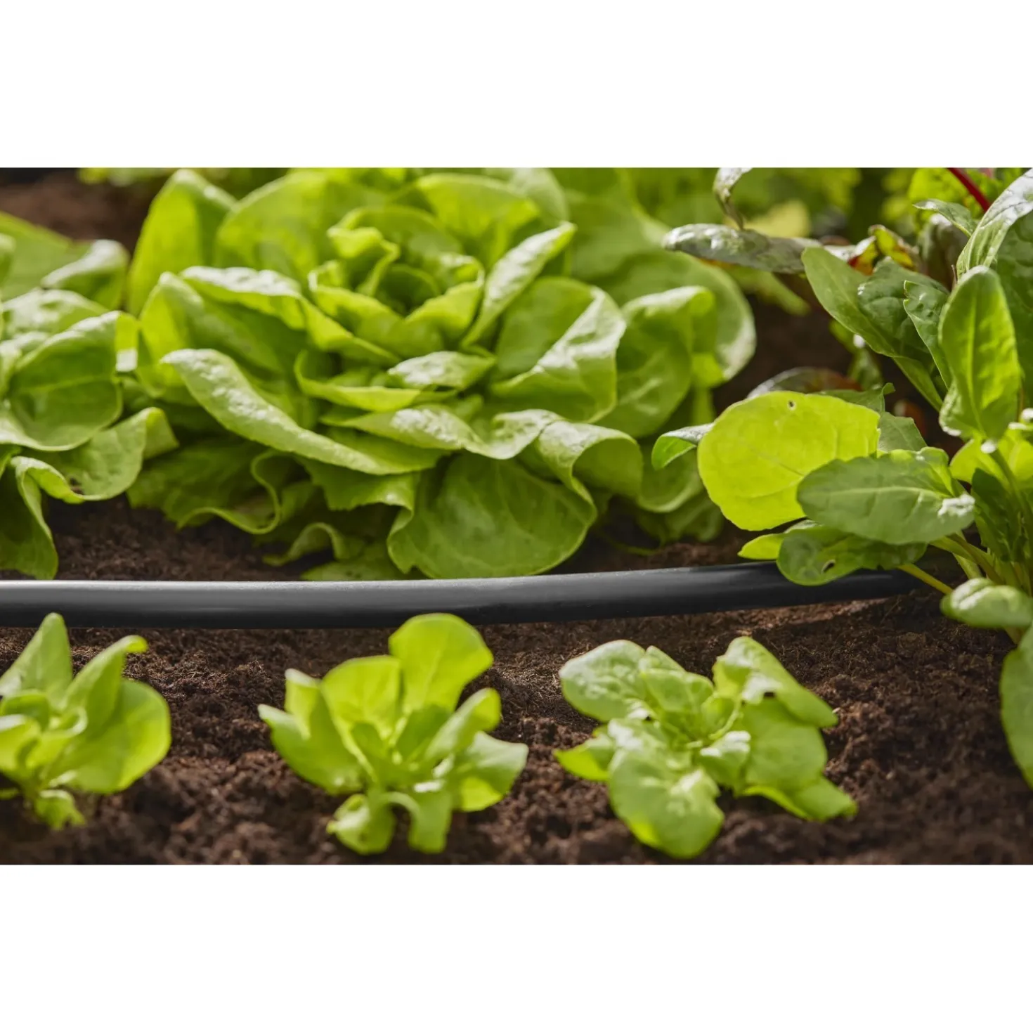 Tubo irrigazione di linea Flex Micro-Drip-System Gardena 50 m 13 mm (1/2")