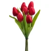 Tulipano mazzo 37 cm