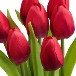Tulipano mazzo 37 cm