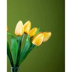 Tulipano mazzo 37 cm
