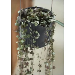 Vaso da interno fiori Elho B.Swing antracite Ø 18 cm