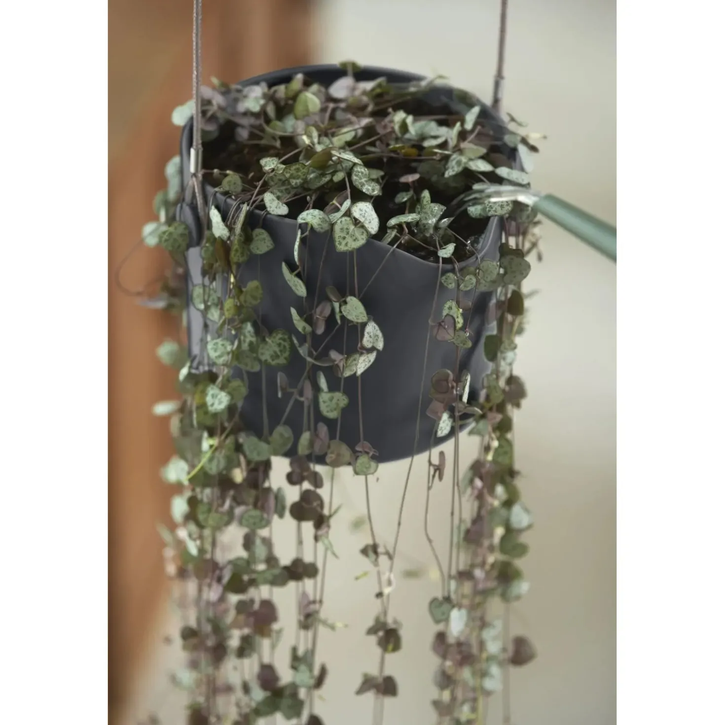 Vaso da interno fiori Elho B.Swing antracite Ø 18 cm