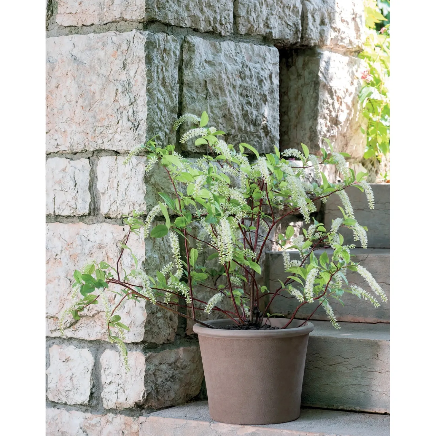 Vaso per piante Deroma Cilindro Primitivo Ø 33 cm grafite