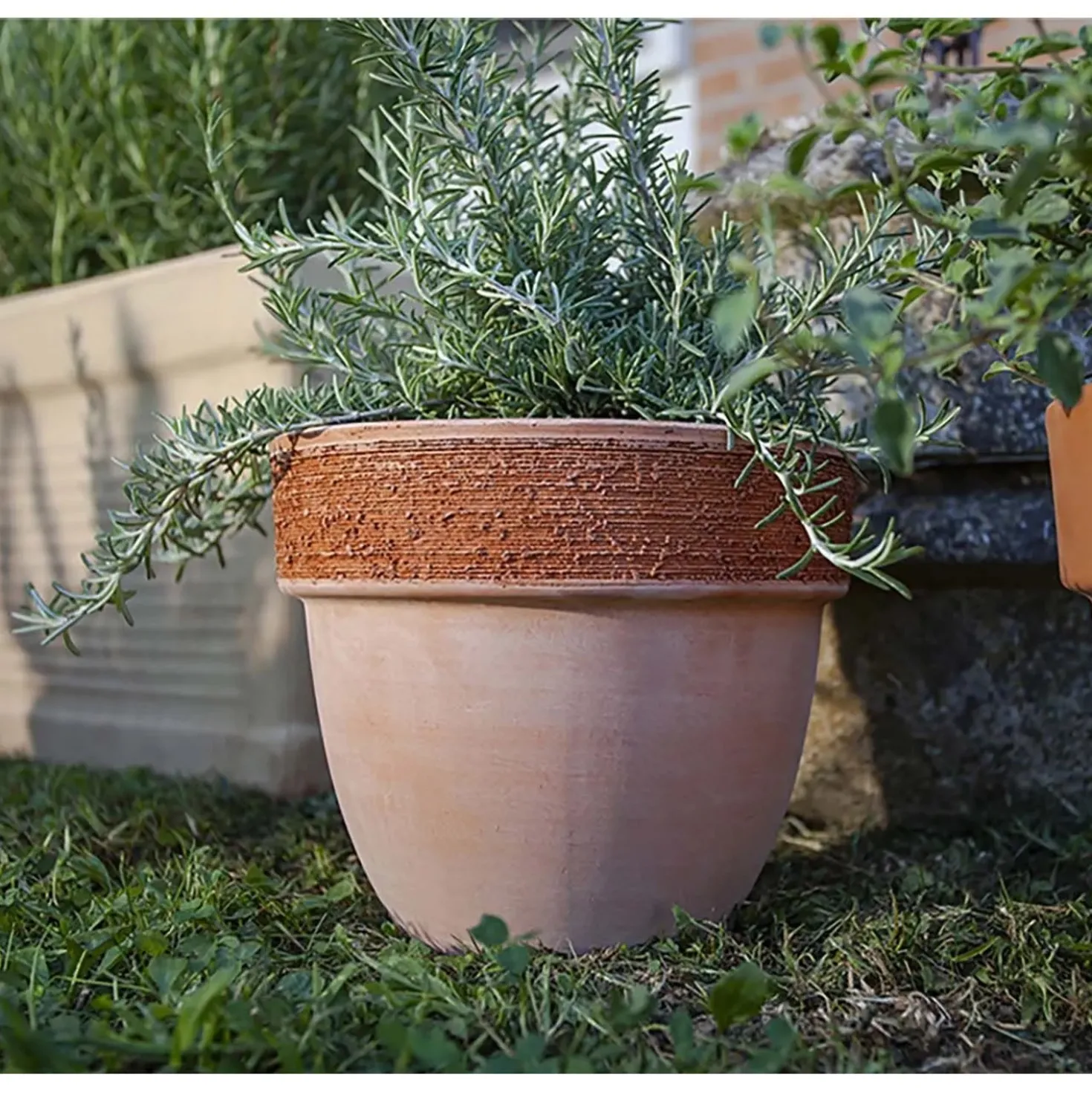Vaso per piante Patavium in terracotta graffiato ø 30 cm
