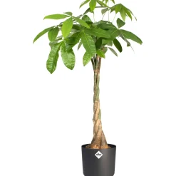 Vaso per piante rotondo Elho B.For Soft Ø 24,7 cm antracite