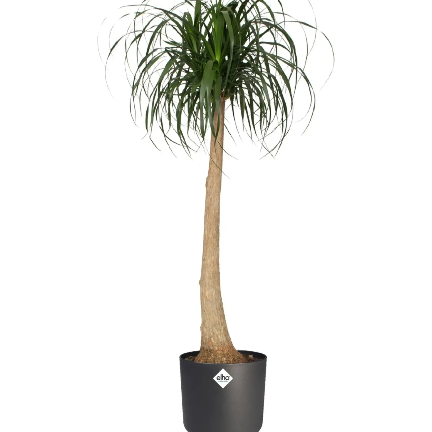 Vaso per piante rotondo Elho B.For Soft Ø 24,7 cm antracite