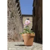 Vaso per piante Standard in terracotta ø 21 cm