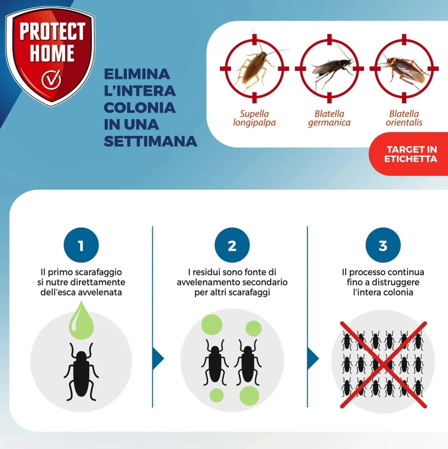 Veleno scarafaggi Protect Home Fastion Gel 20 g