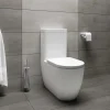 Wc Arc filo muro monobloco con sedile soft-close 65x36 cm bianco opaco