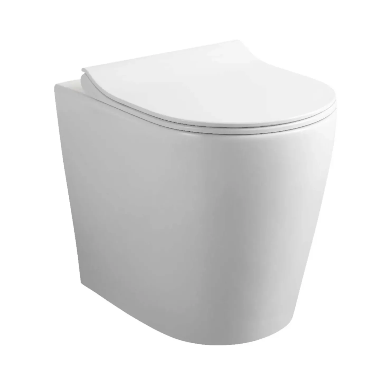 Wc Filo muro modello Genziana